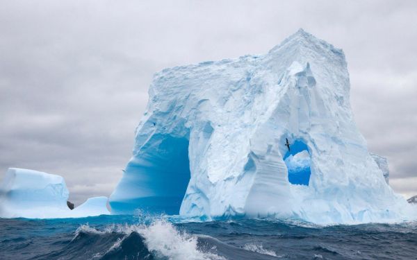 Iceberg,gelo,Congelando,ártico,fusão,oceano