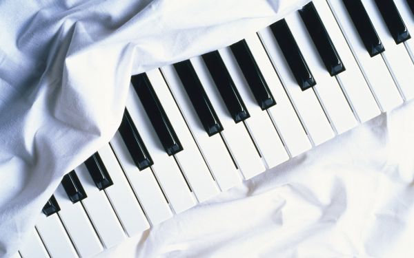 putih,satu warna,alat musik,teknologi,piano,Keyboard