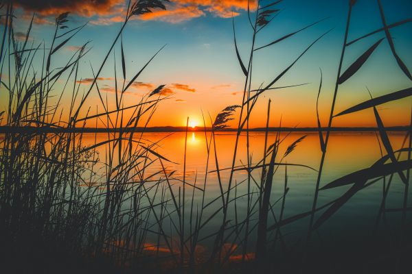 вода,небе,атмосфера,растение,облак,зарево