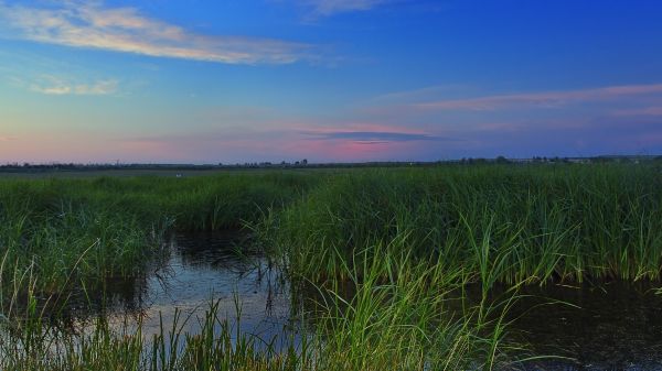 paysage,le coucher du soleil,mer,Lac,la nature,rive