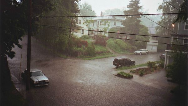 plante,voiture,véhicule,ciel,véhicule à moteur,Surface de la route