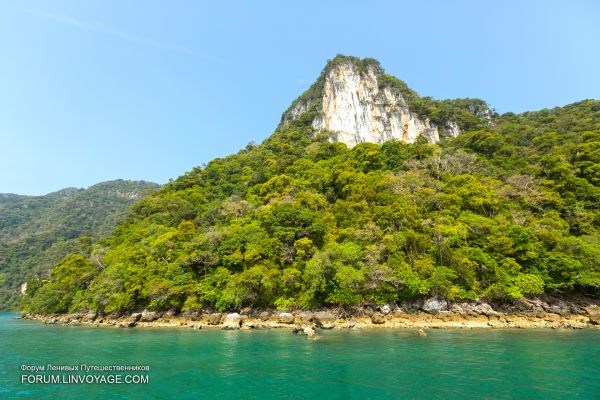 运动,海,湾,水,鱼,海岸