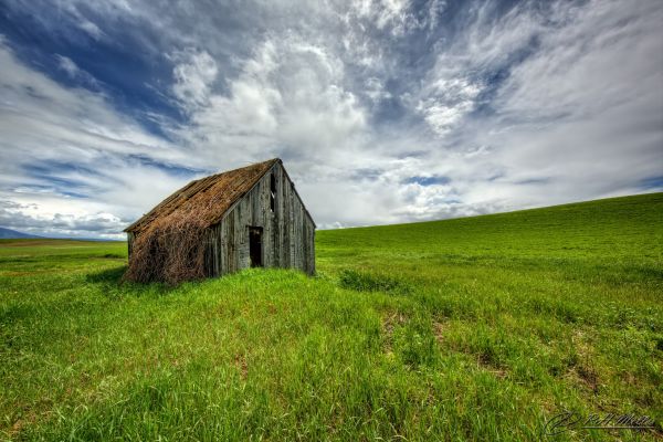 Güneş ışığı, Manzara, Tepe, doğa, Ot, deniz