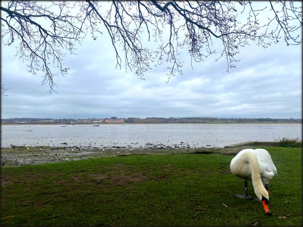 paysage,la nature