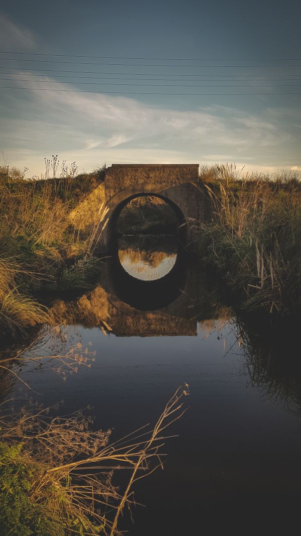 acqua,nube,cielo,risorse idriche,pianta,Natural landscape