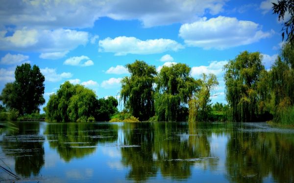 lumina soarelui,copaci,peisaj,lac,apă,natură