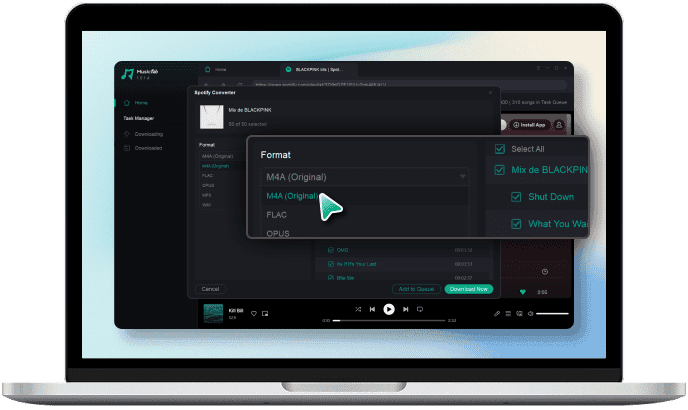 Customize the Output Format and Audio Quality