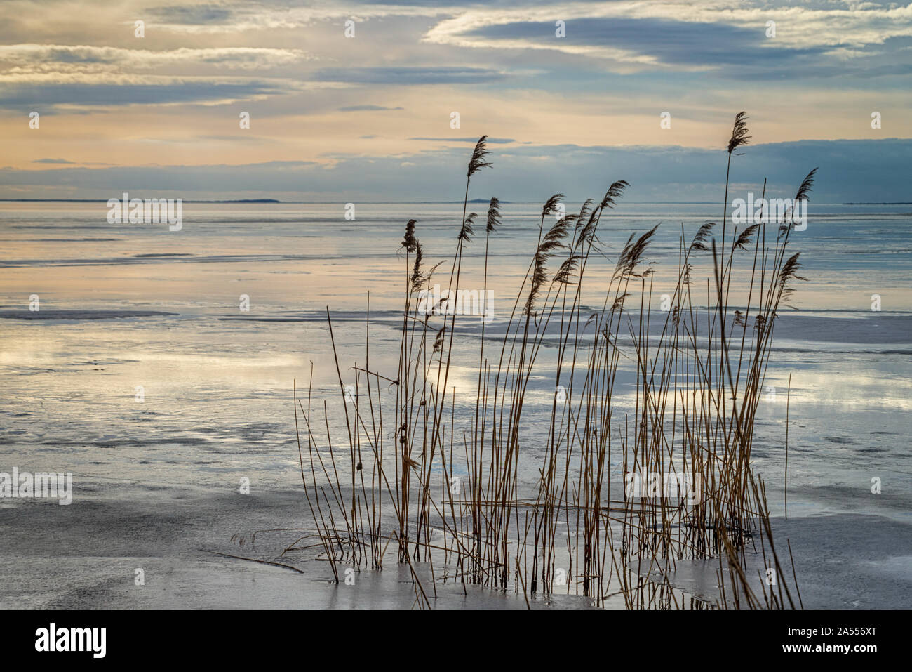 Broken ice on lake Balaton Stock Photo