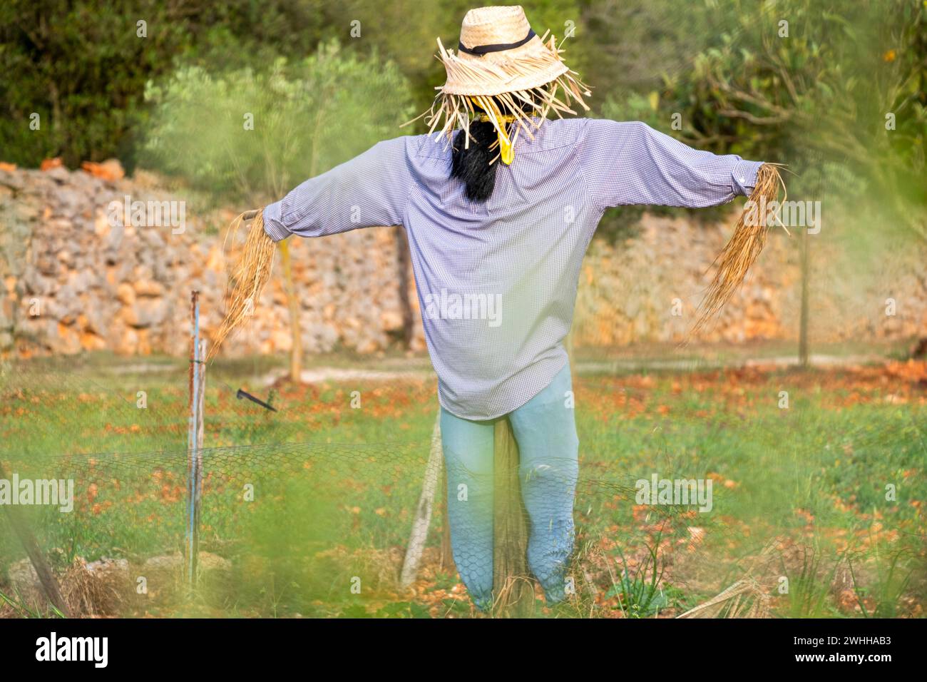 Scarecrow in a field Stock Photo