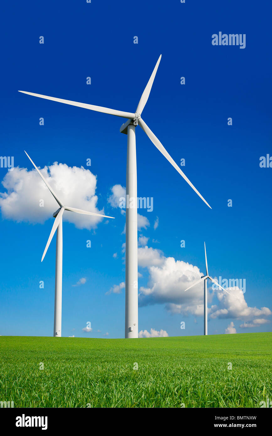 WIND TURBINE IN A FIELD Stock Photo