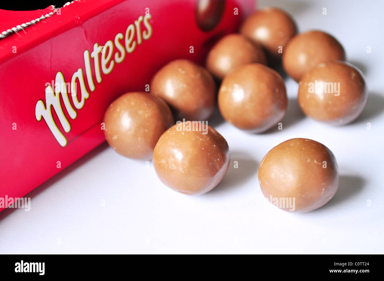 Maltesers Stock Photo