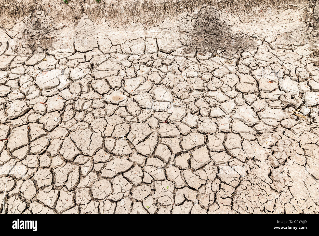 Dry soil surface. Stock Photo