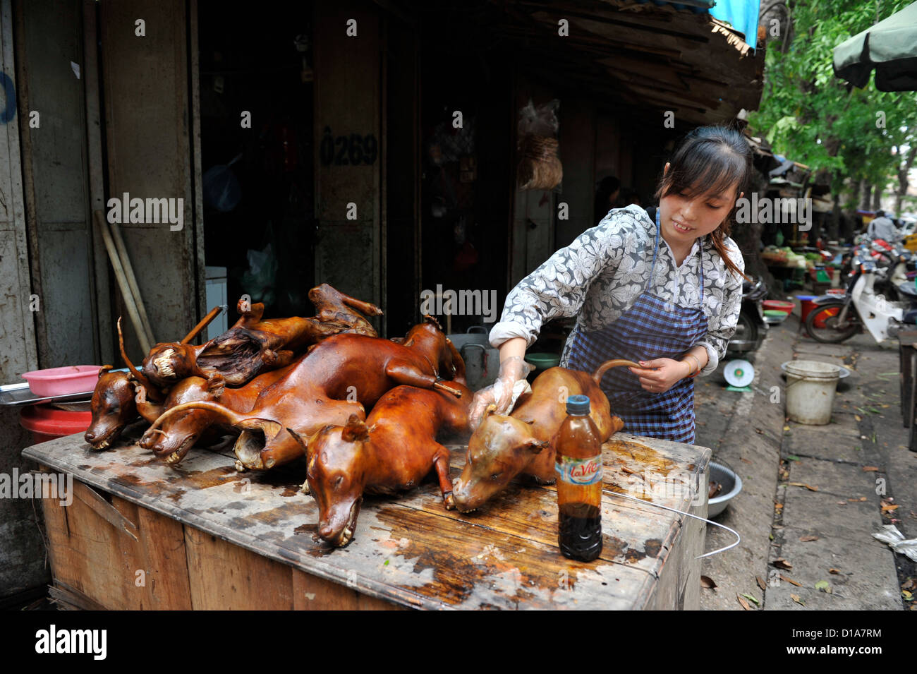 DOG COOKING,DOG MARKET Stock Photo