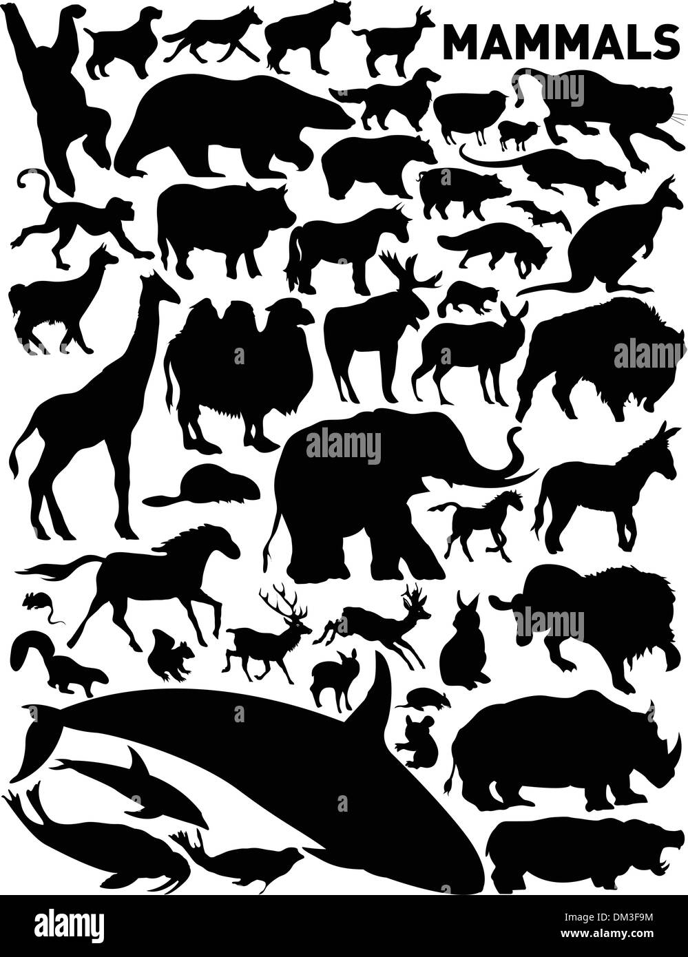 mammals Stock Vector