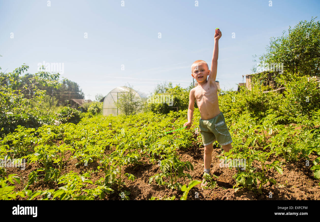 Boy among plants Stock Photo