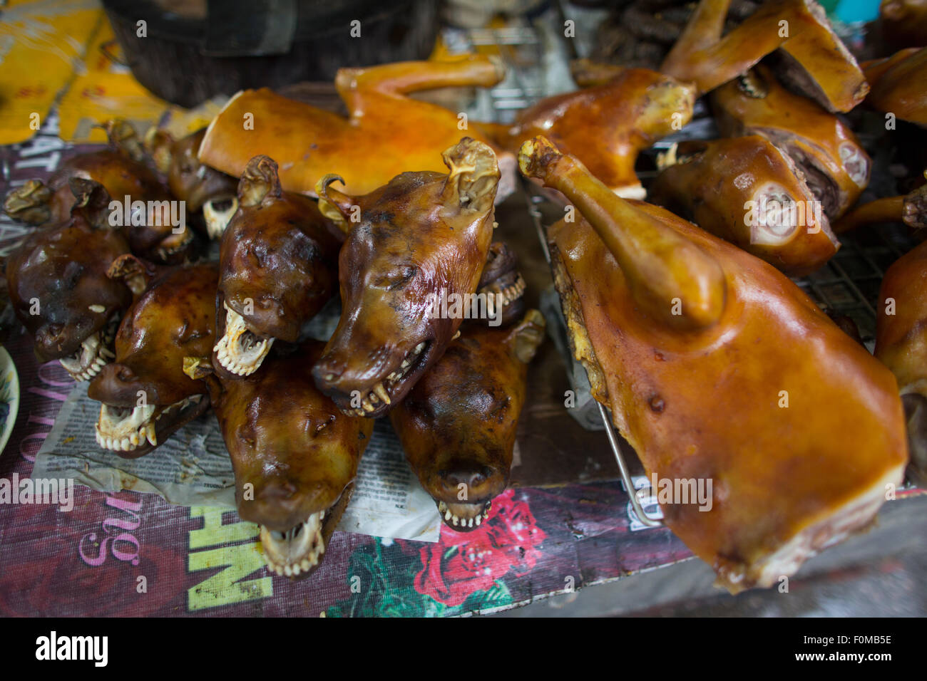 Dog is a delicacy in Vietnam Stock Photo