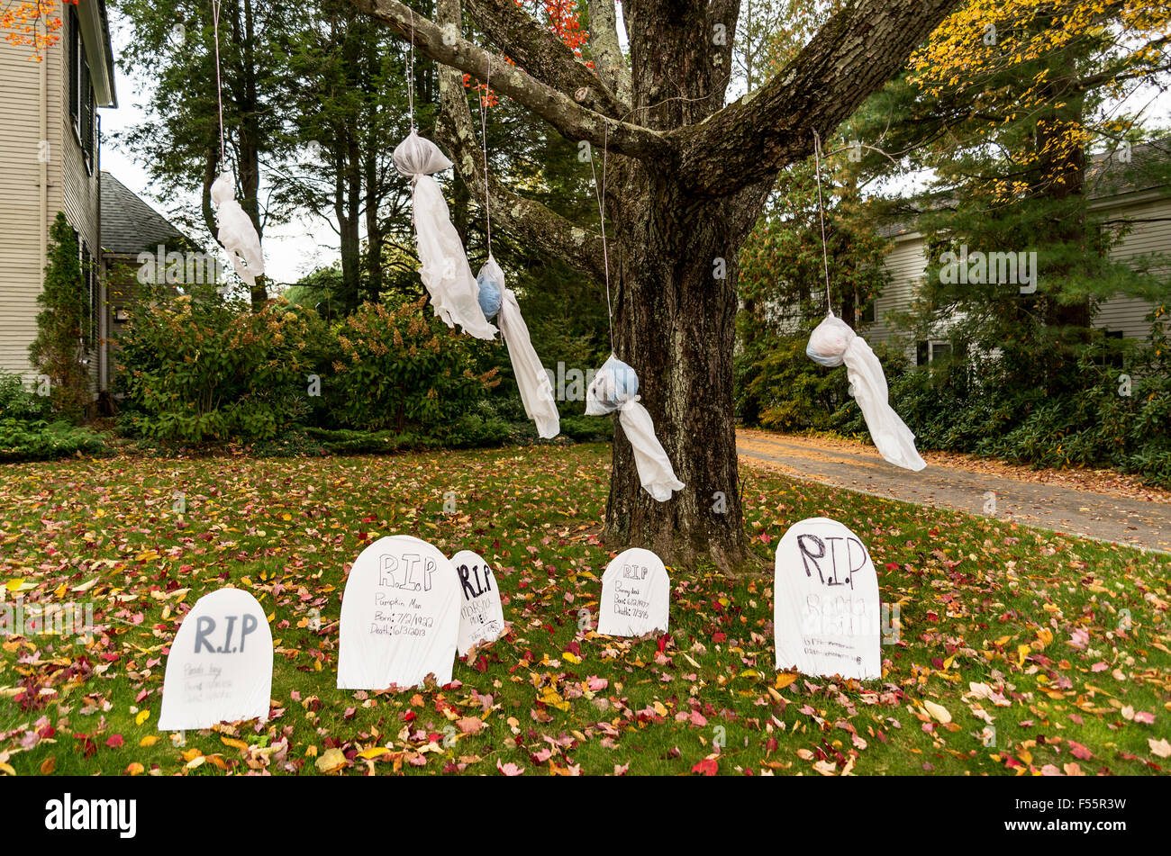 the Halloween graveyard Stock Photo