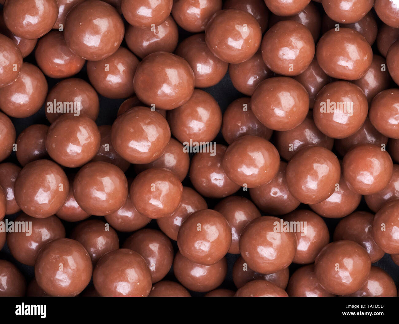 Maltesers Stock Photo