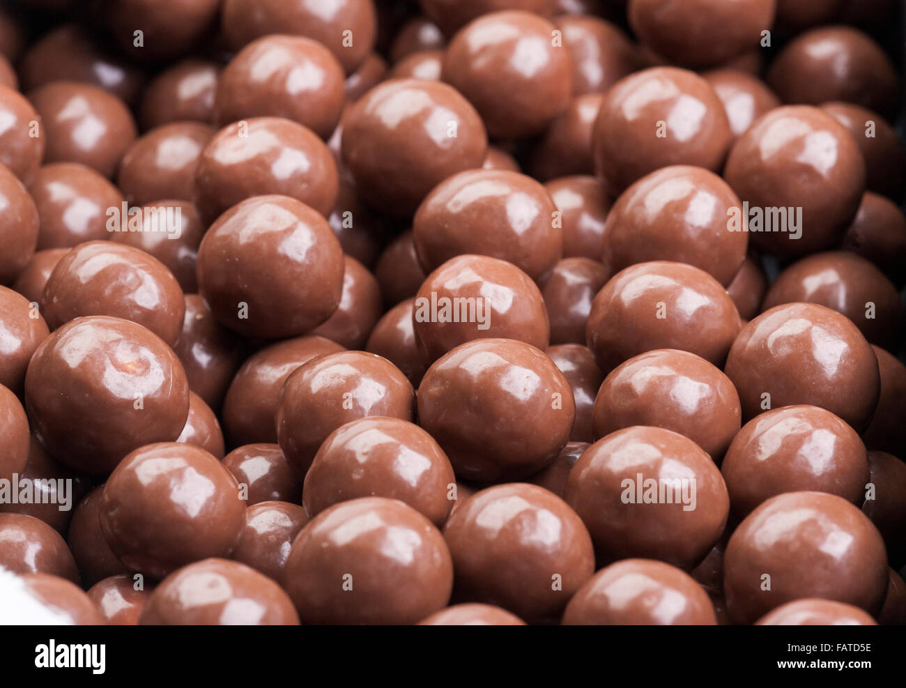 Maltesers Stock Photo