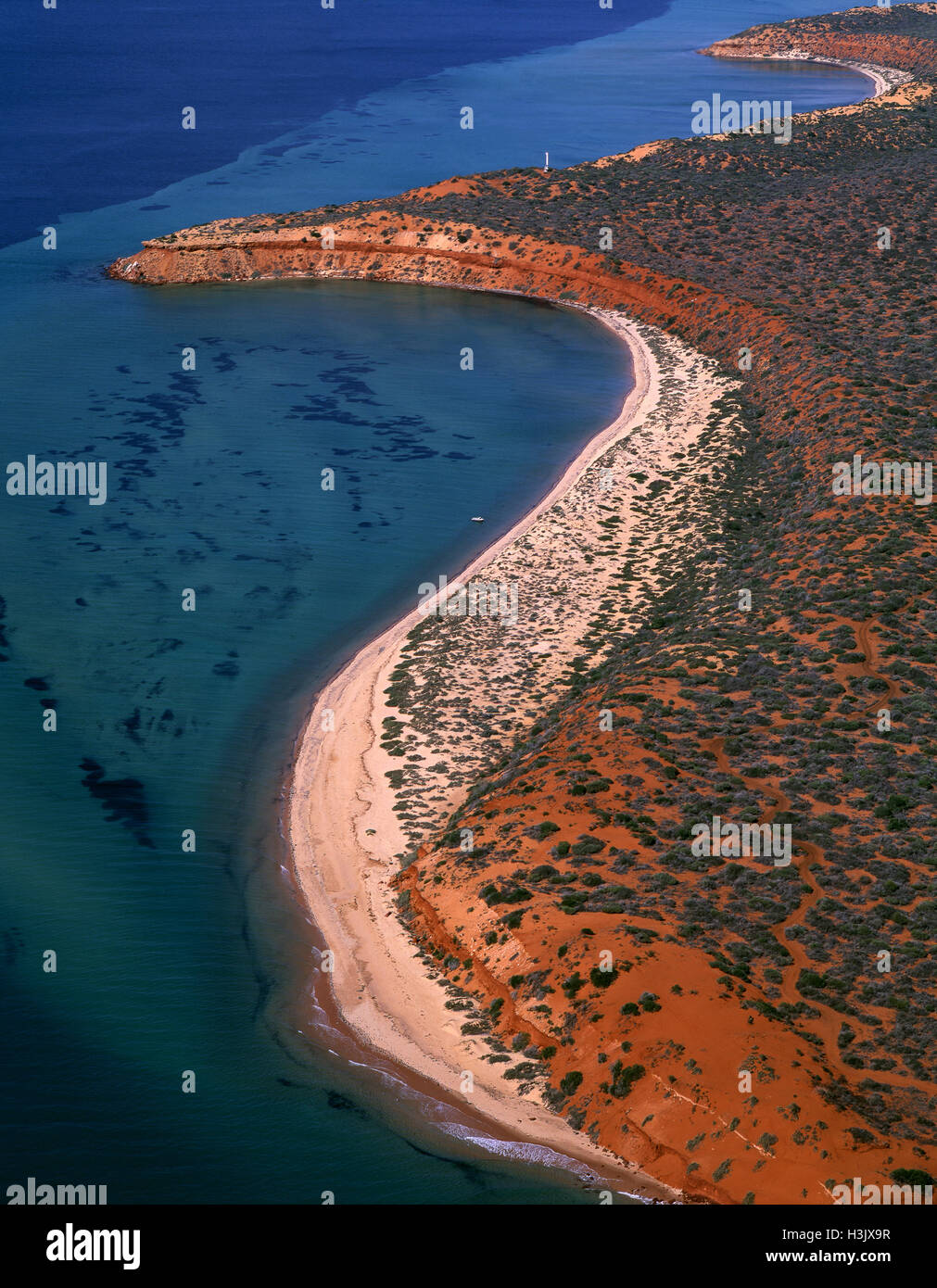 Seagrass bed, dugong habitat, Stock Photo