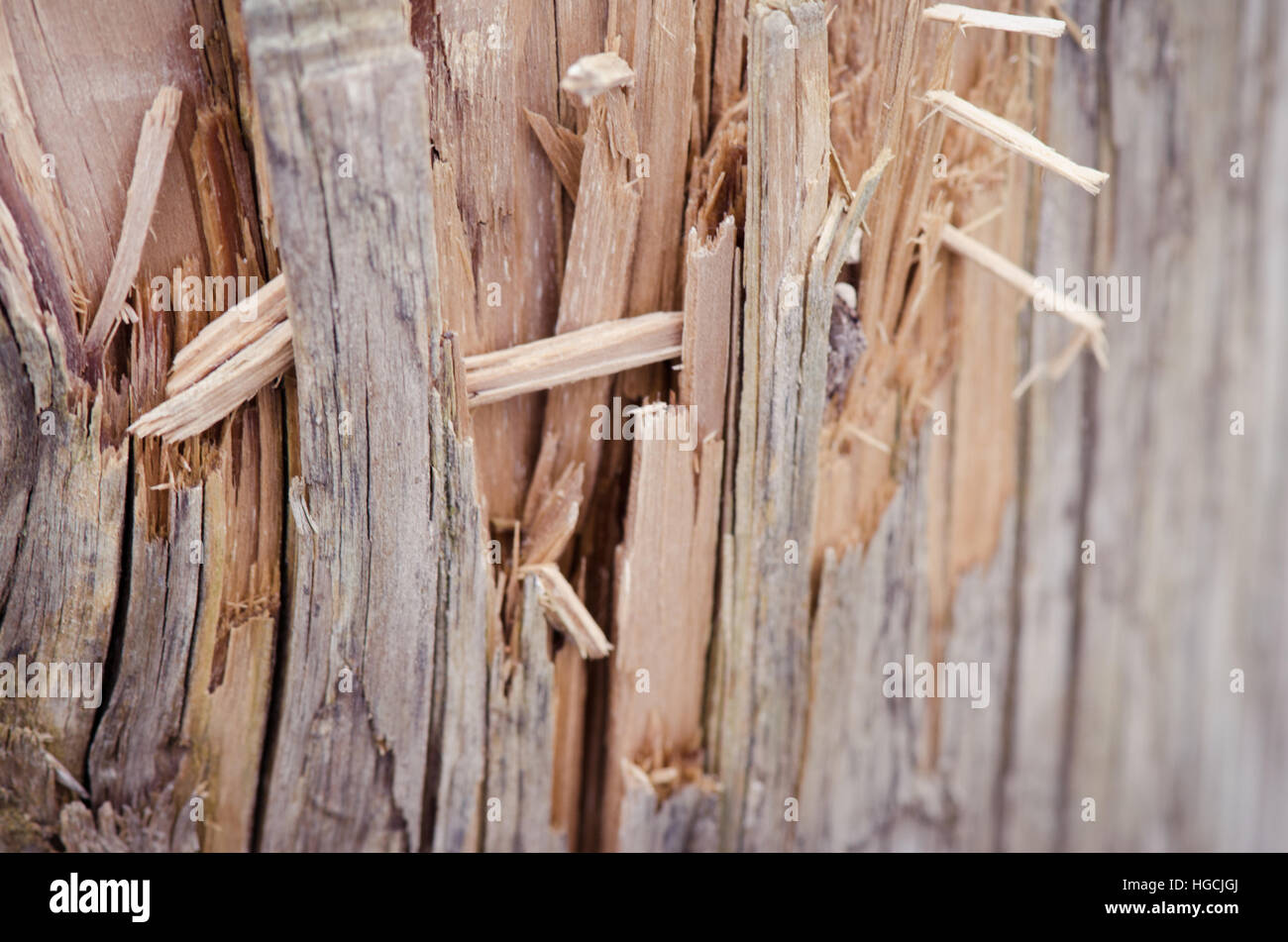 Splintered wood Stock Photo