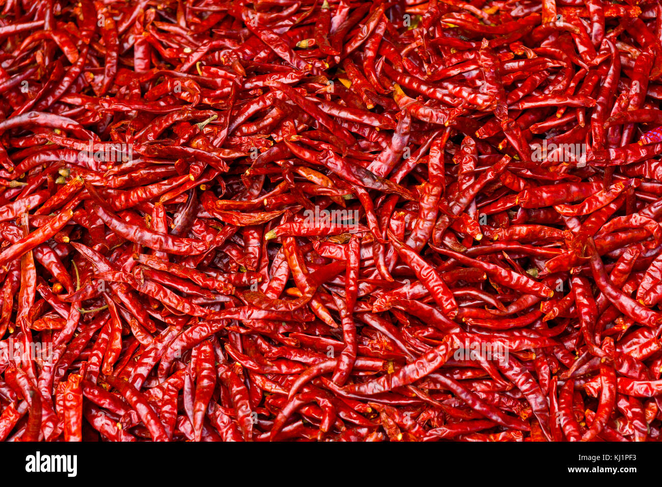 Dried chili peppers Stock Photo