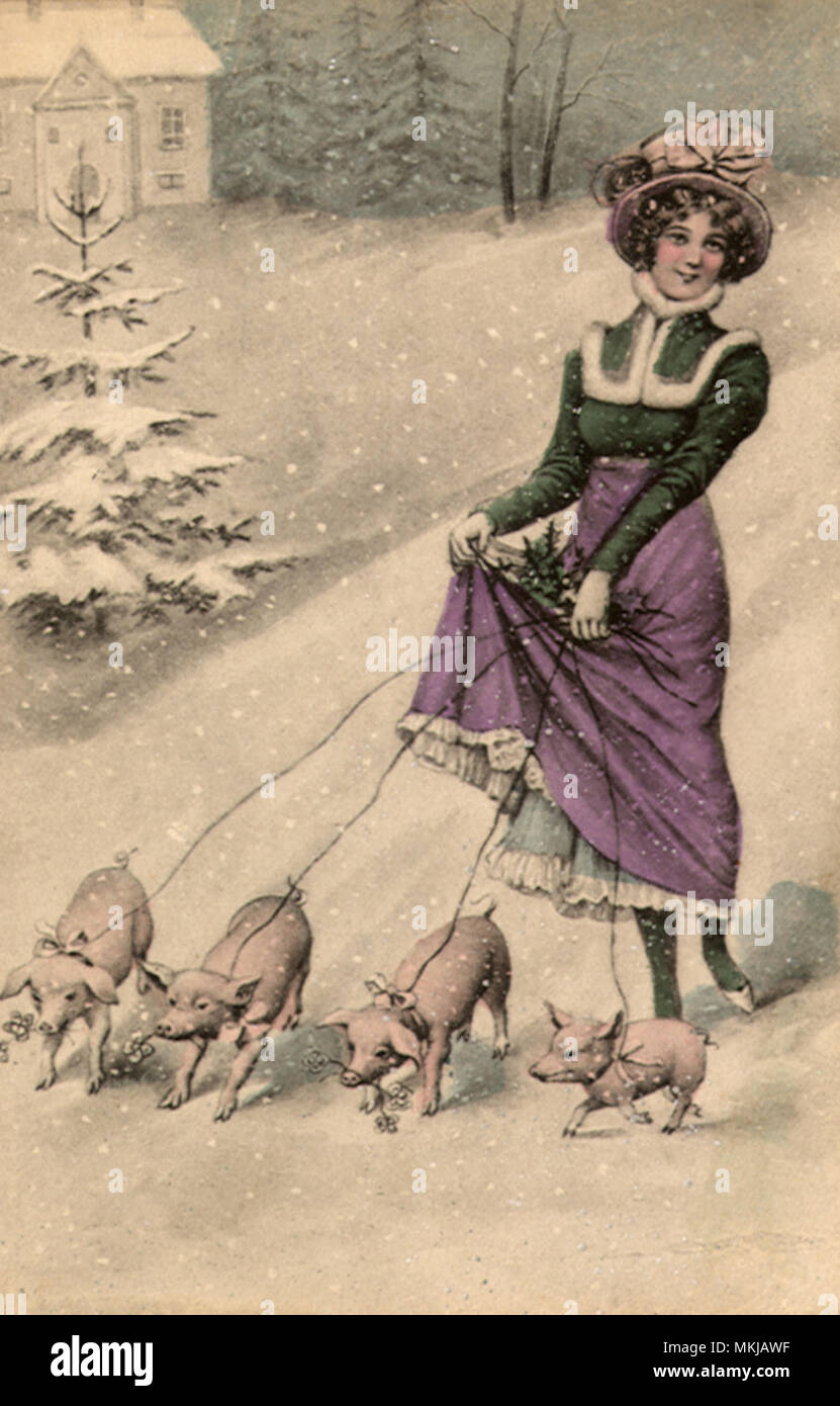 Woman Walking Pigs Stock Photo