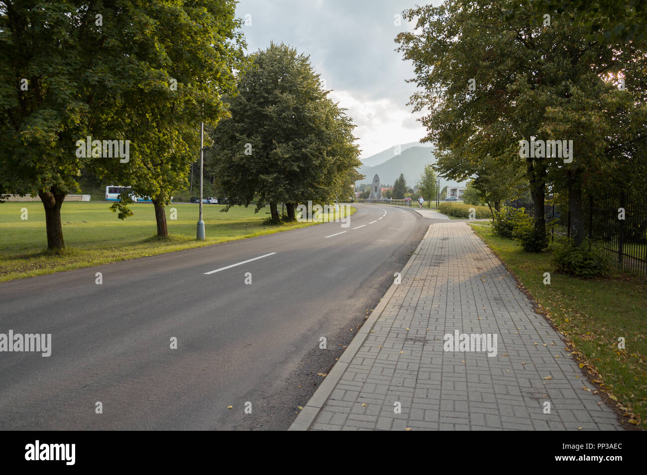 road lined with trees Stock Photo