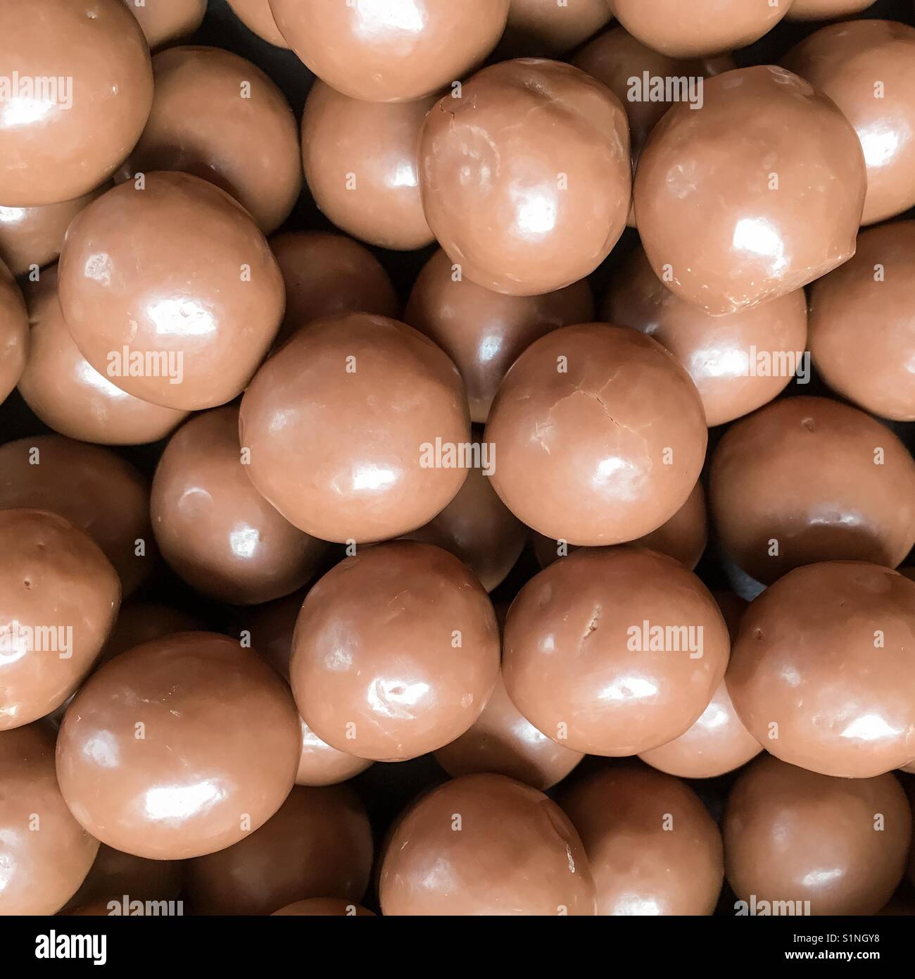 Maltesers Stock Photo