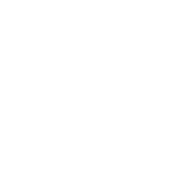 Palmetto State Armory