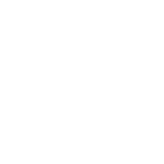 Canik