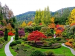 Trees in Butchart Gardens, Canada