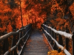 Autumn Bridge