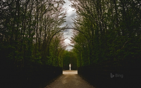 Gardens of Versailles - of, versailes, bing, gardens