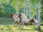 Horses