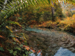 Idyllic tributary of the river Sarca springing from the Italian Alps and flowing into Lake Garda