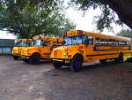 School Bus