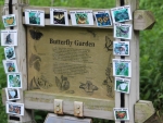 Butterfly Garden