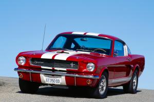 Ford Shelby Mustang GT 350 for Sale