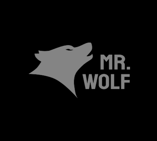 Mr Wolf Slots Casino Review