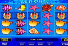 wild shark amatic slot