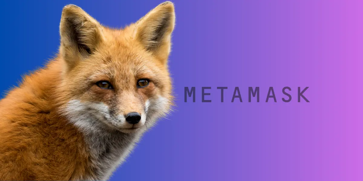 MetaMask Casinos: The Ultimate Guide to MetaMask Gambling