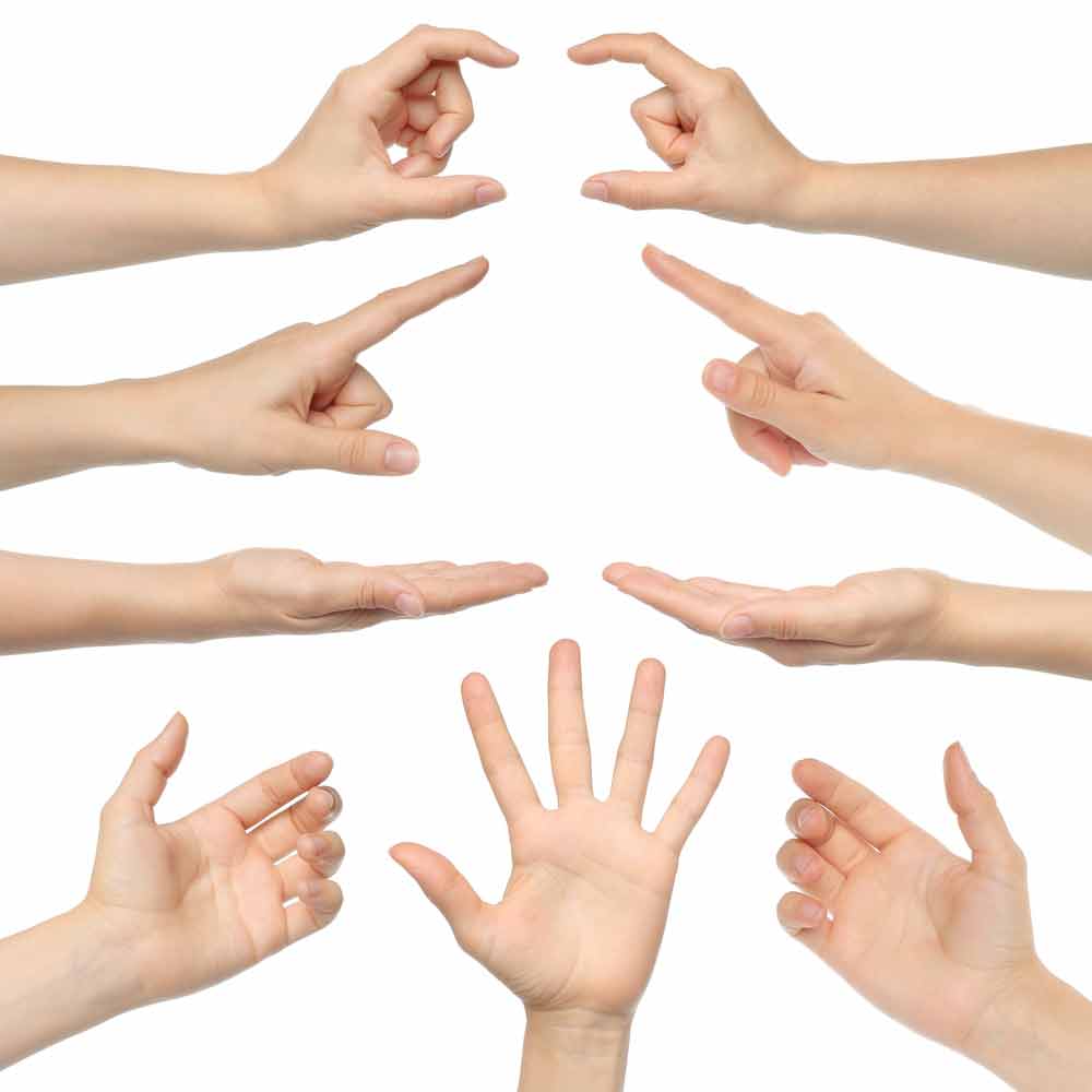 image of several hands