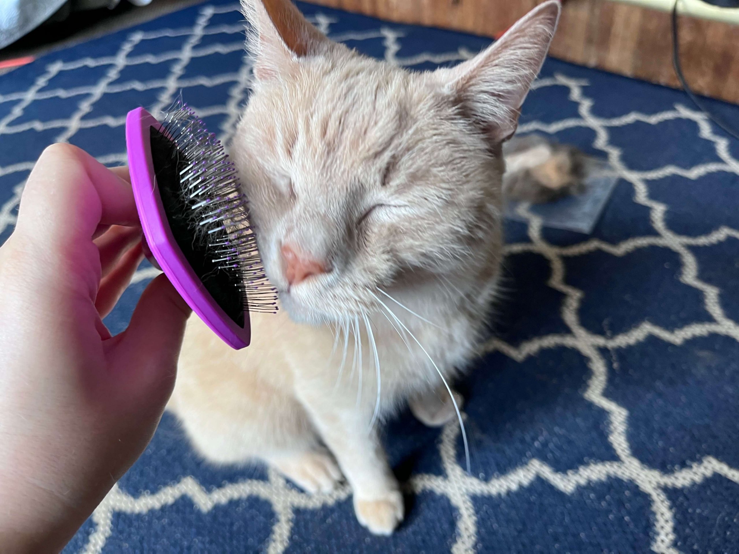 Hartz Groomer's Best Slicker Brush