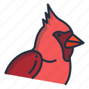 cardinal