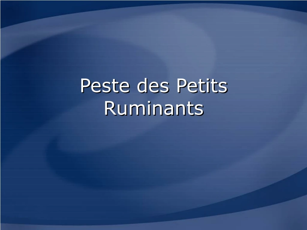 peste des petits ruminants