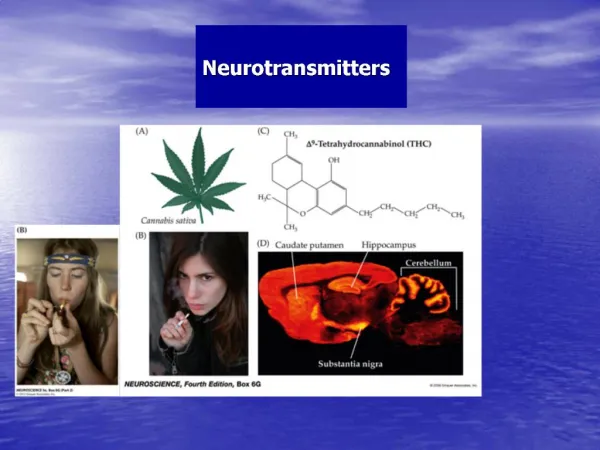 Neurotransmitters