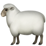 Ewe on Apple