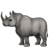 Rhinocéros on Apple