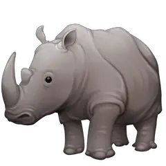 Rhinocéros on Facebook